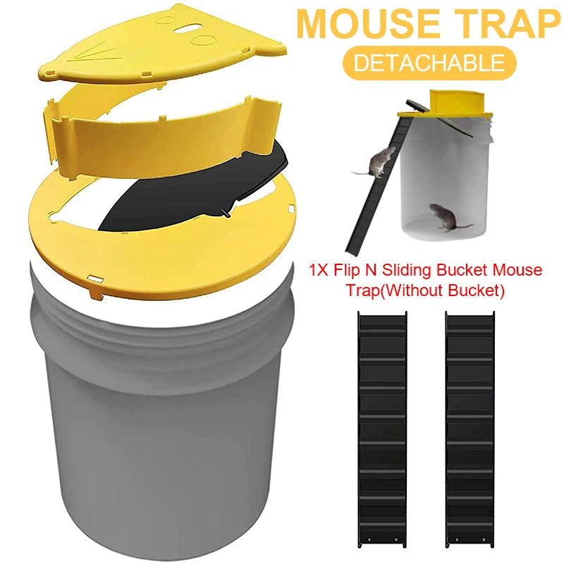 Pitfall Mouse Trap
