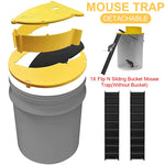 Pitfall Mouse Trap