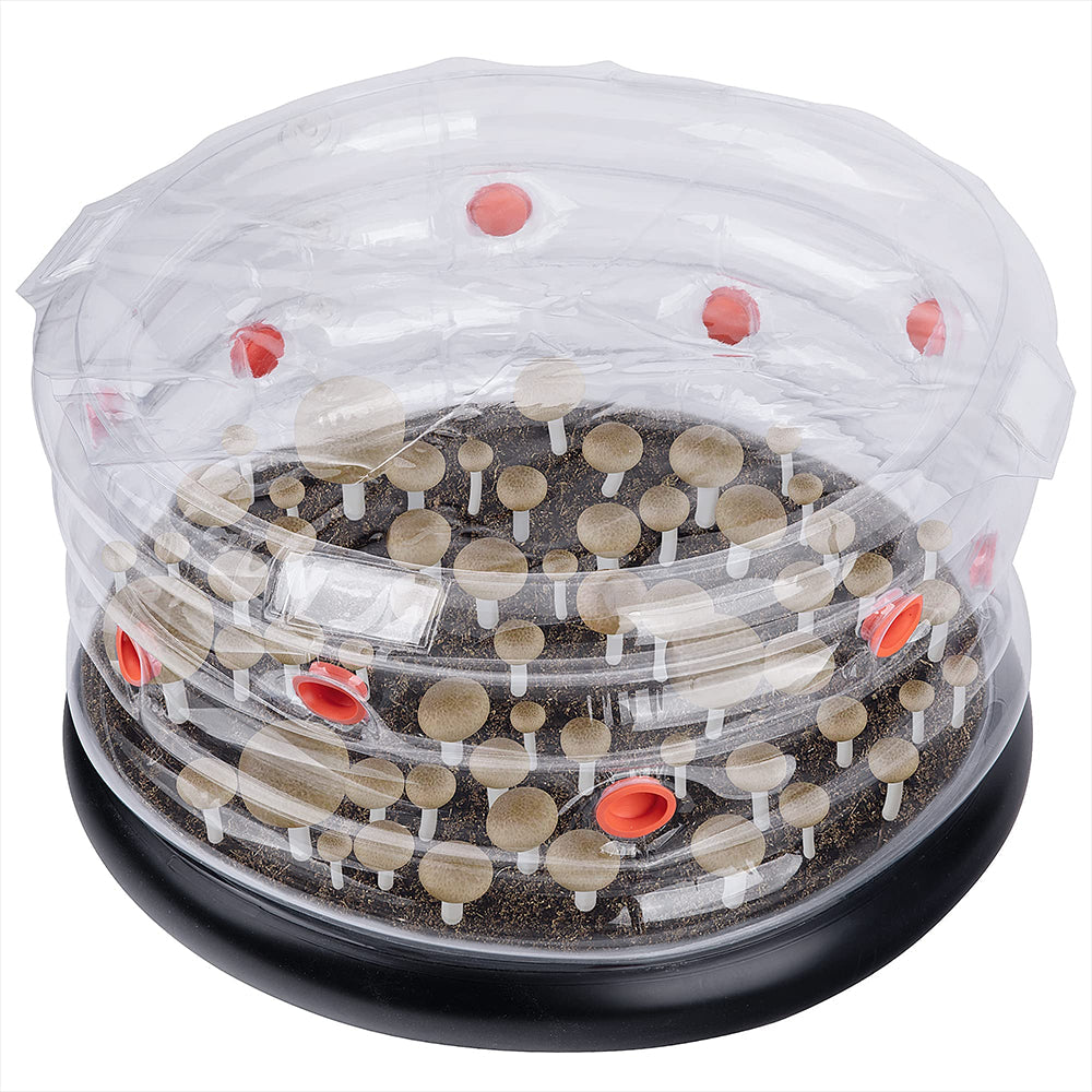 Inflatable Mushroom Growing Chamber