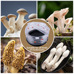 Inflatable Mushroom Growing Chamber